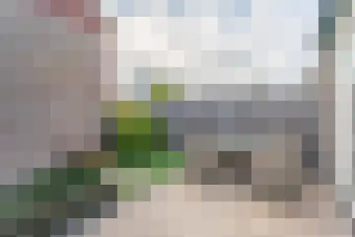 Hyacint 67 Voorhout thumbnail 33