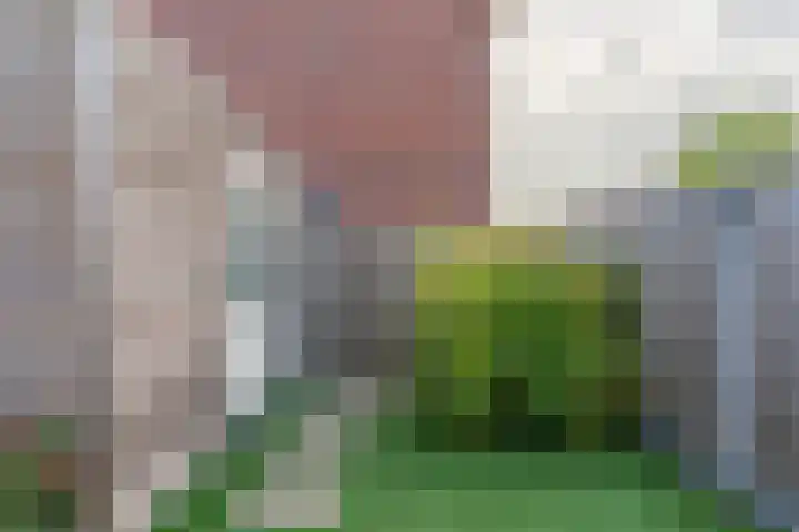 Hyacint 67 Voorhout thumbnail 35
