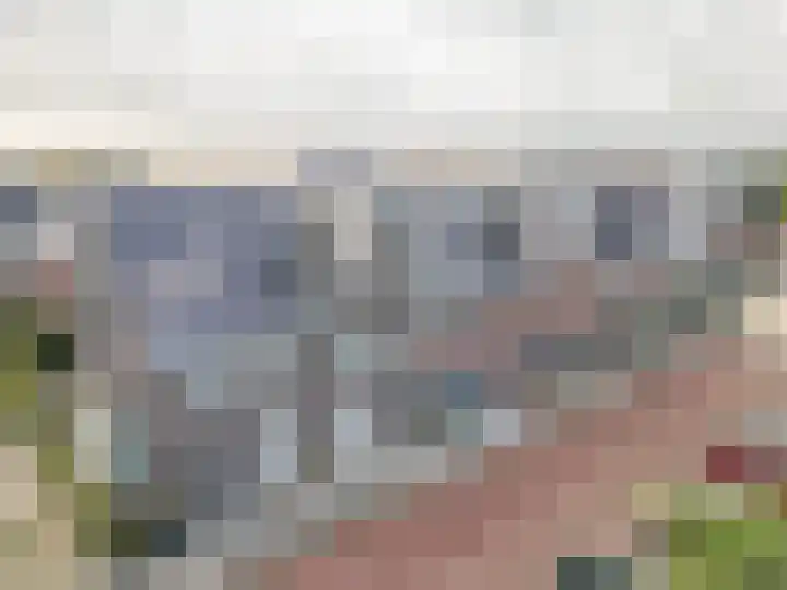 Hyacint 67 Voorhout thumbnail 37