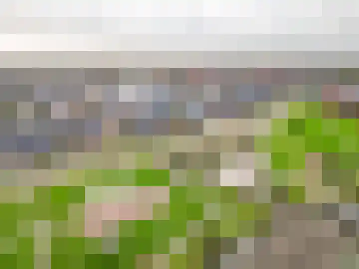 Hyacint 67 Voorhout thumbnail 38