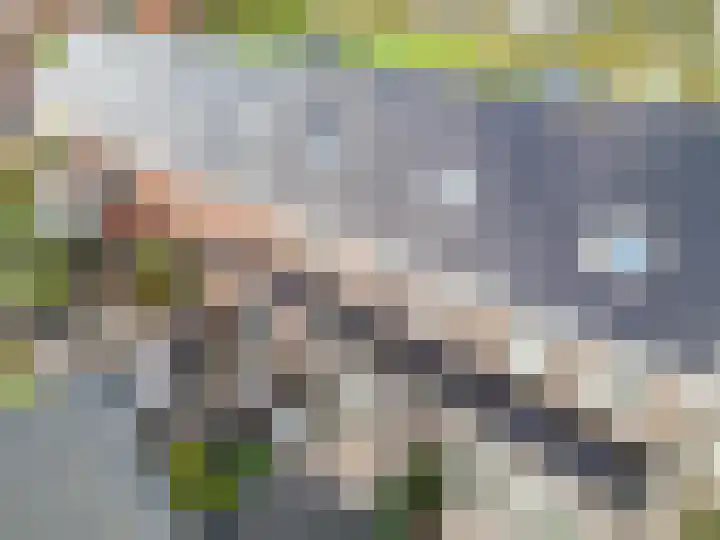 Hyacint 67 Voorhout thumbnail 39