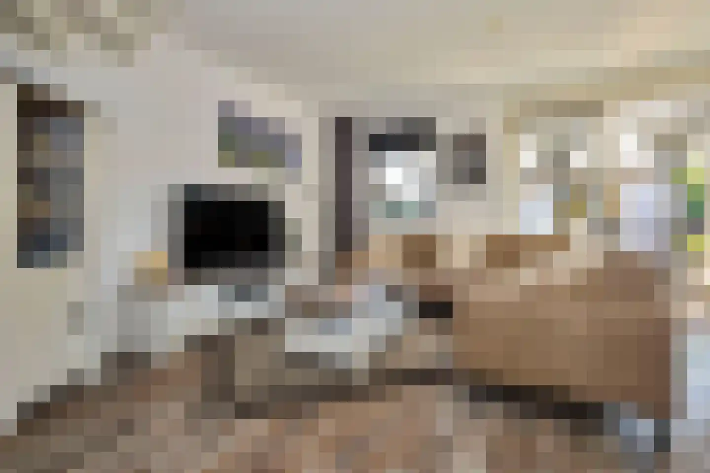 Hyacint 71 Voorhout thumbnail 13