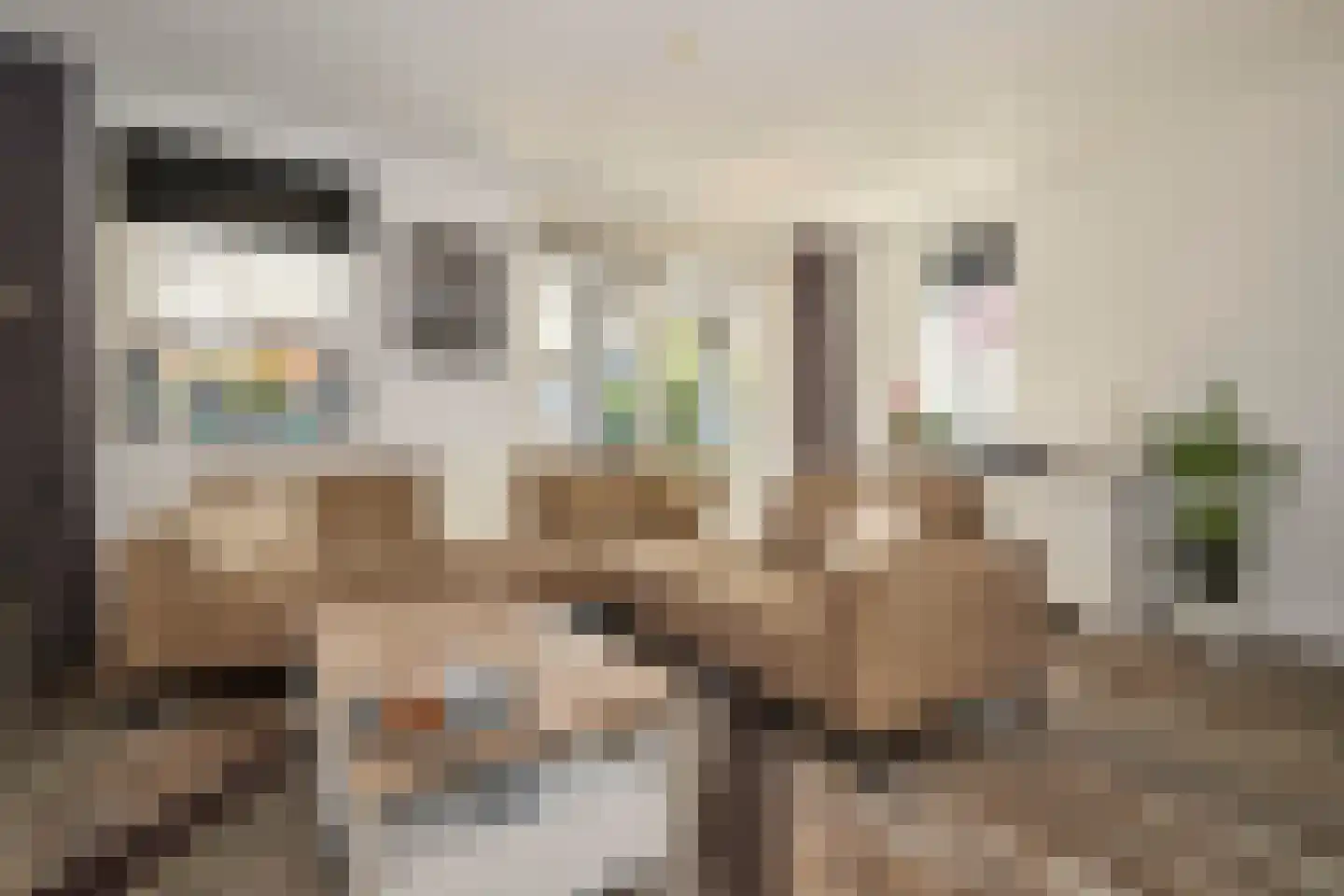 Hyacint 71 Voorhout thumbnail 14