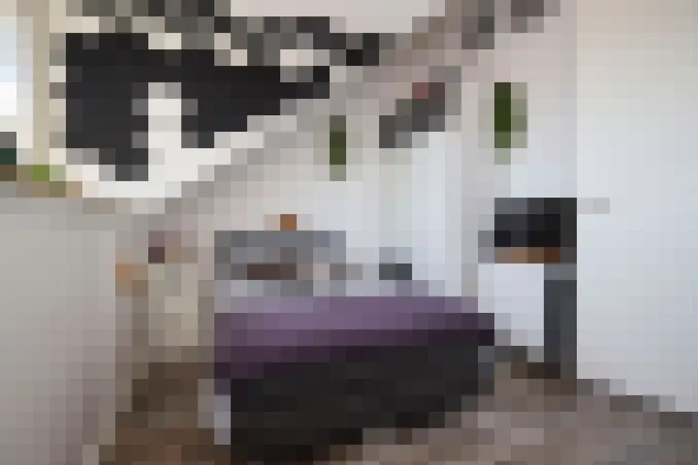 Hyacint 71 Voorhout thumbnail 41