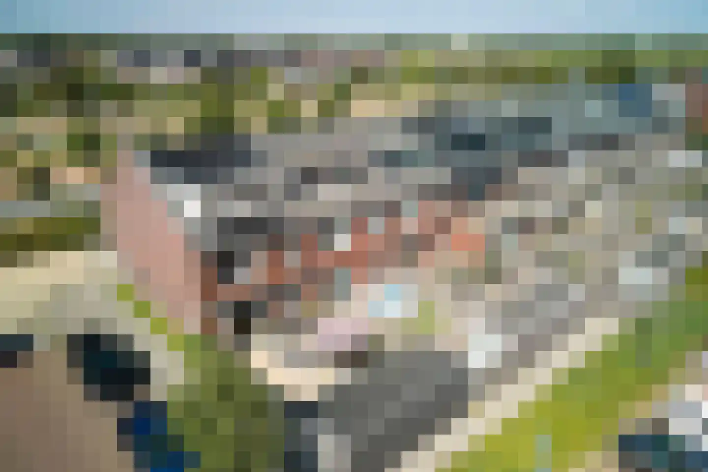 Hyacint 71 Voorhout thumbnail 48