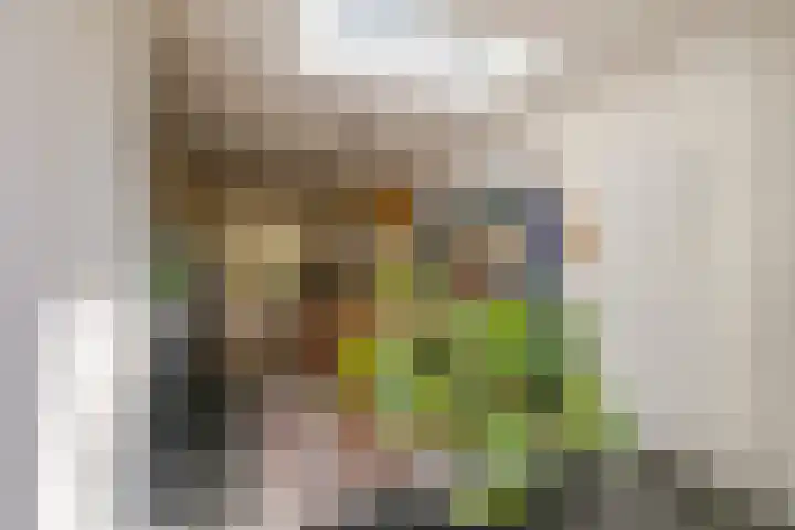 Hyacintenlaan 10 ZW Haarlem thumbnail 28