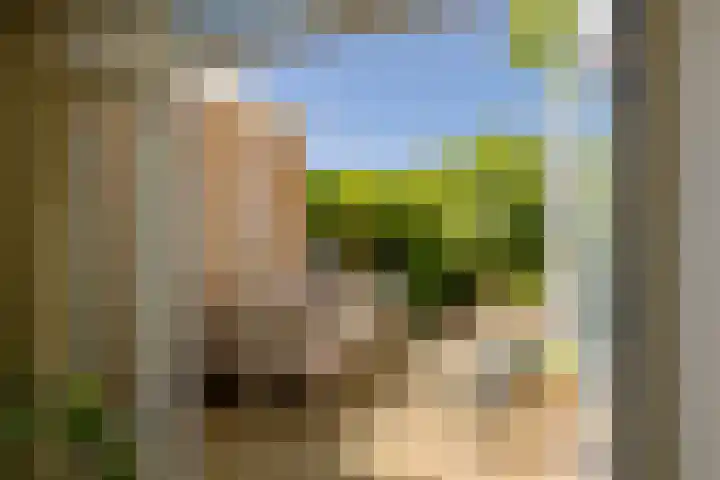 Hyacintenlaan 10 ZW Haarlem thumbnail 37