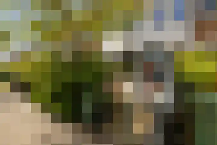 Hyacintenlaan 10 ZW Haarlem thumbnail 6