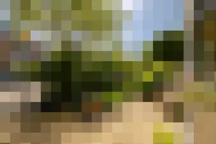 Hyacintenlaan 10 ZW Haarlem thumbnail 8