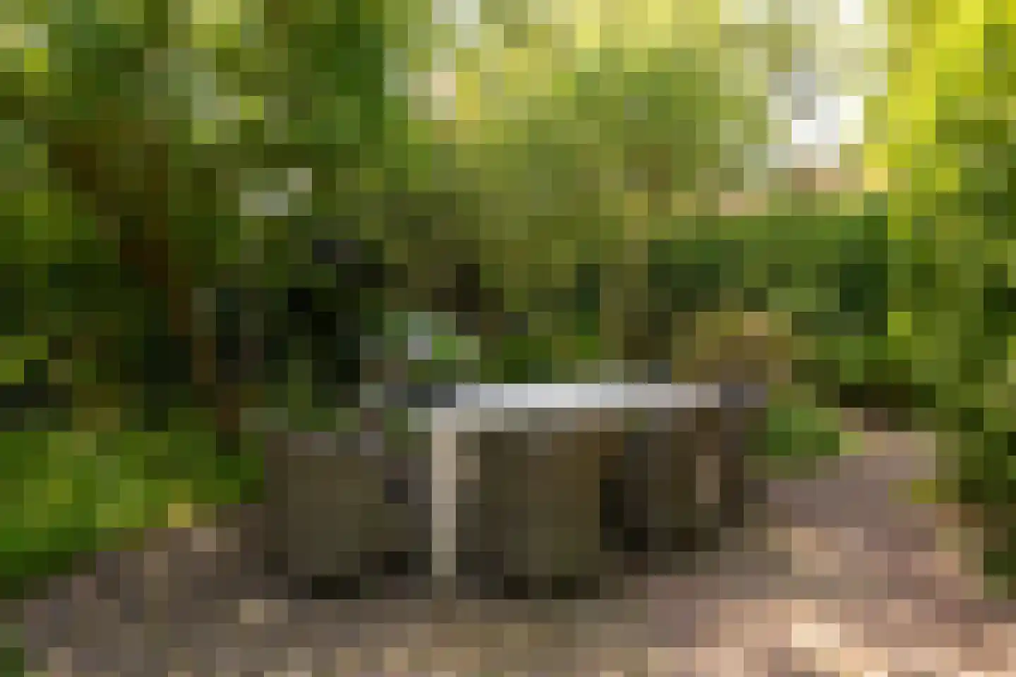 Hyacintenlaan 12 Hilversum thumbnail 38