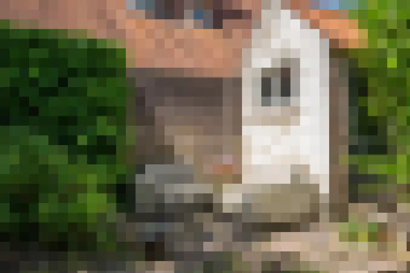 Hyacintenlaan 12 Hilversum thumbnail 40