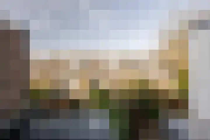 Hyacintenlaan 12 RD Haarlem thumbnail 14
