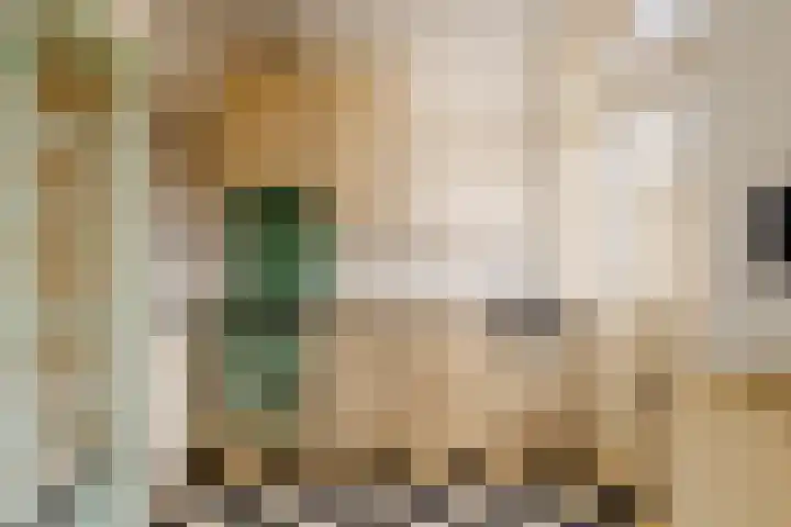 Hyacintenlaan 12 RD Haarlem thumbnail 16