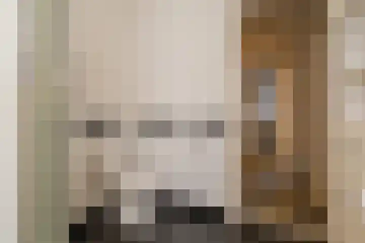 Hyacintenlaan 12 RD Haarlem thumbnail 21