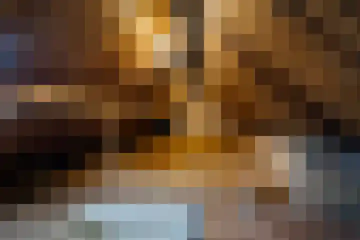 Hyacintenlaan 12 RD Haarlem thumbnail 25