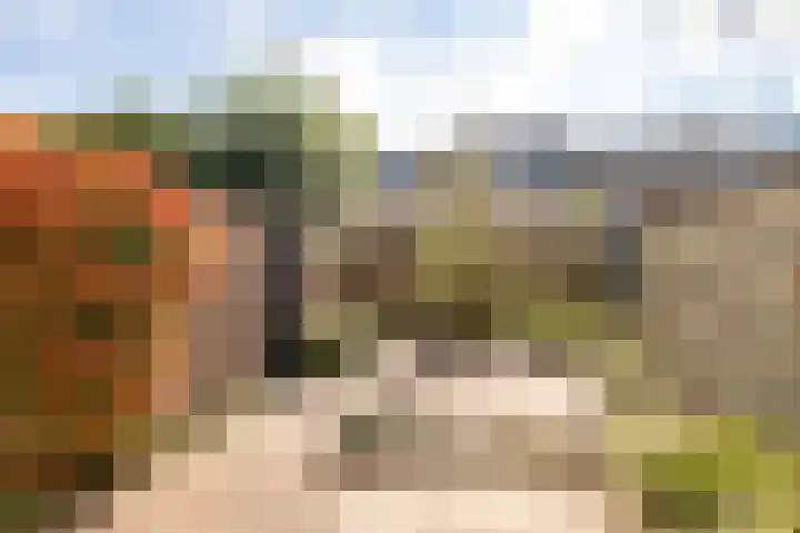Hyacintenlaan 14 Hoogkarspel thumbnail 28