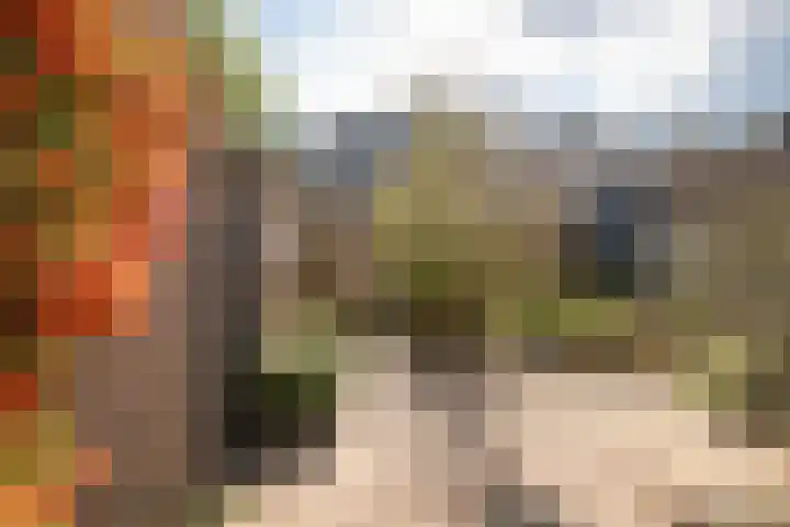 Hyacintenlaan 14 Hoogkarspel thumbnail 29