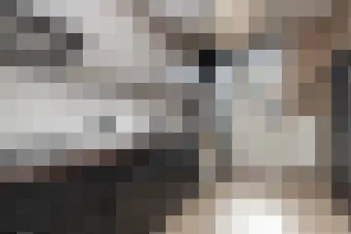 Hyacintenlaan 14 Hoogkarspel thumbnail 8