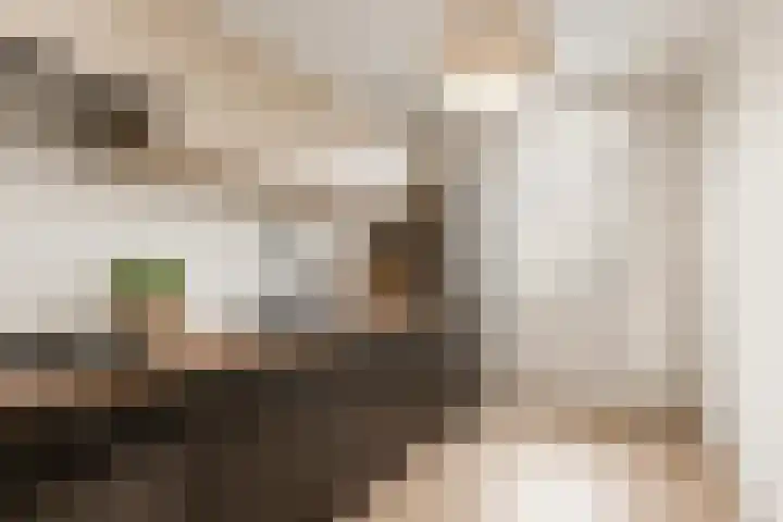 Hyacintenlaan 14 Hoogkarspel thumbnail 9