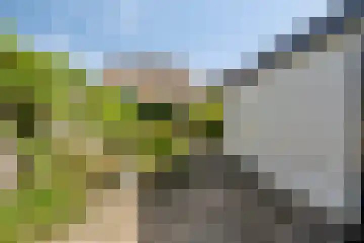 Hyacintenlaan 27 Haarlem thumbnail 17