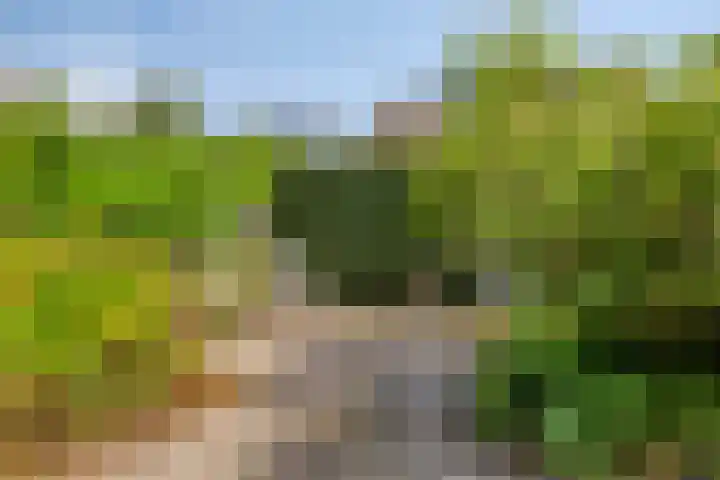 Hyacintenlaan 27 Haarlem thumbnail 20