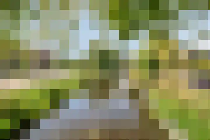 Hyacintenlaan 27 Haarlem thumbnail 34