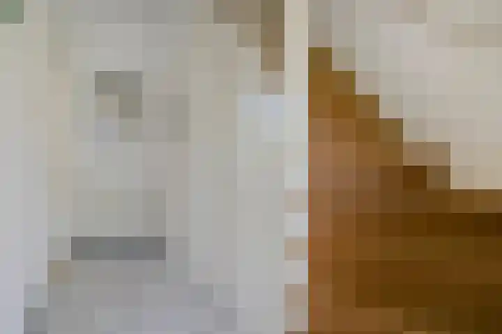 Hyacintenlaan 27 Haarlem thumbnail 5