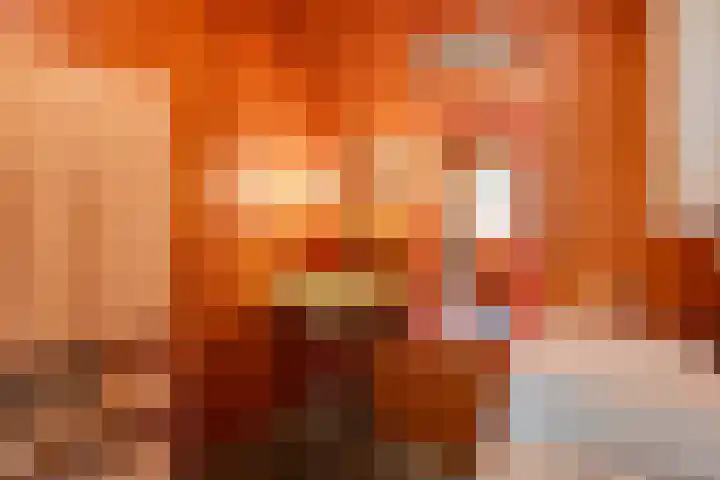Hyacintenlaan 28 Hilversum thumbnail 18