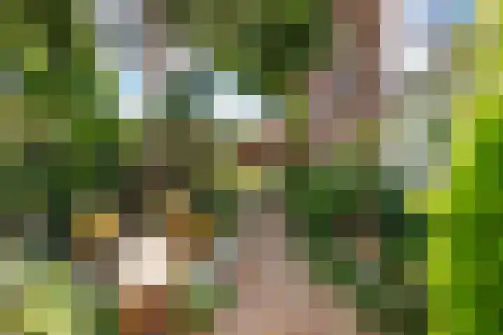 Hyacintenlaan 28 Hilversum thumbnail 21