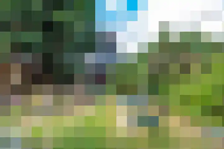 Hyacintenlaan 28 Hilversum thumbnail 22