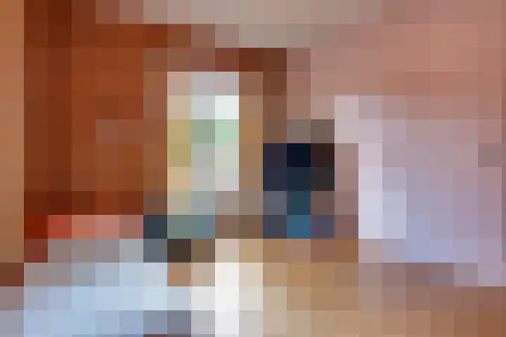 Hyacintenlaan 28 Hilversum thumbnail 30