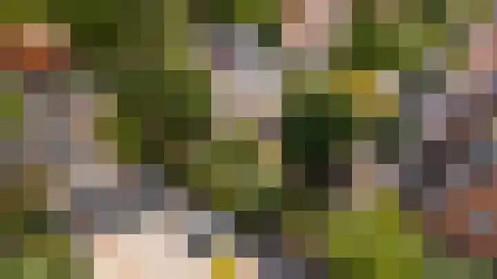 Hyacintenlaan 28 Hilversum thumbnail 40