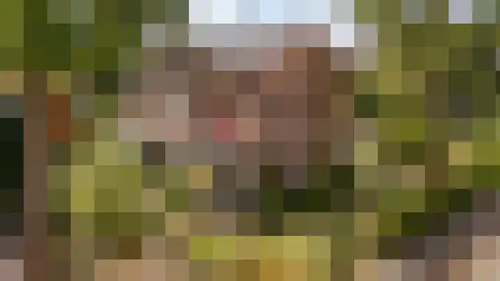 Hyacintenlaan 28 Hilversum thumbnail 43
