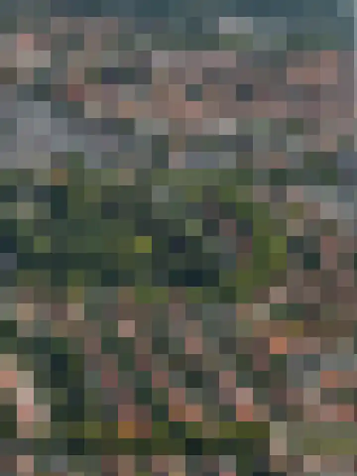 Hyacintenlaan 28 Hilversum thumbnail 44
