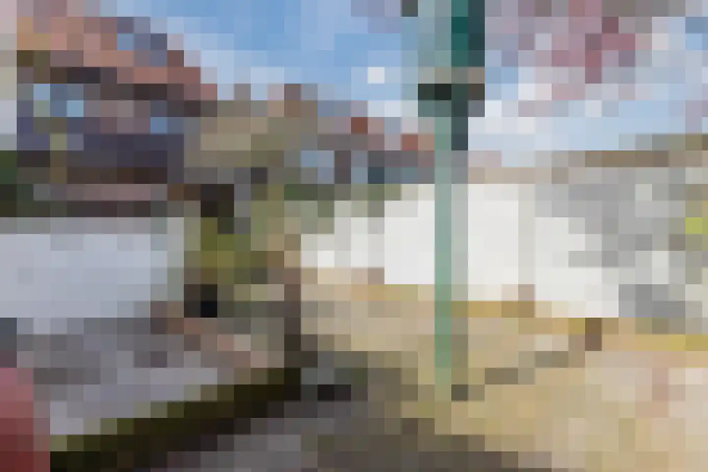 Hyacintenlaan 35 Haarlem thumbnail 18