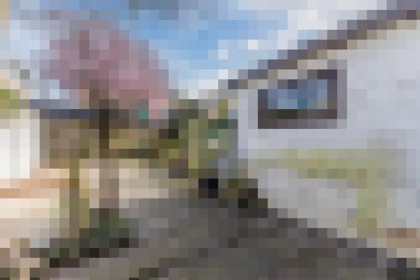 Hyacintenlaan 35 Haarlem thumbnail 19