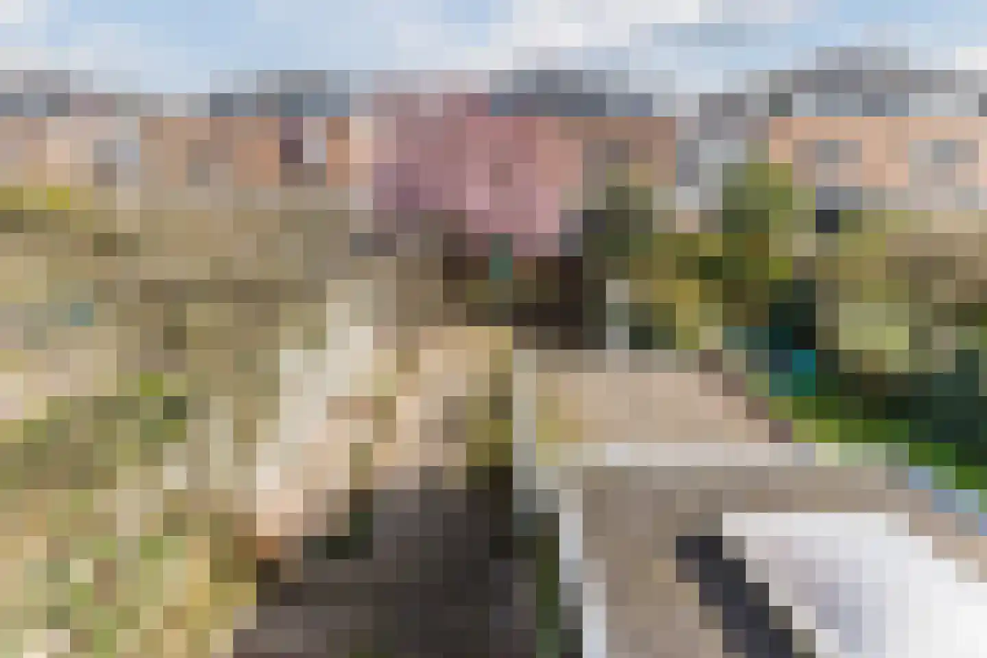 Hyacintenlaan 35 Haarlem thumbnail 33