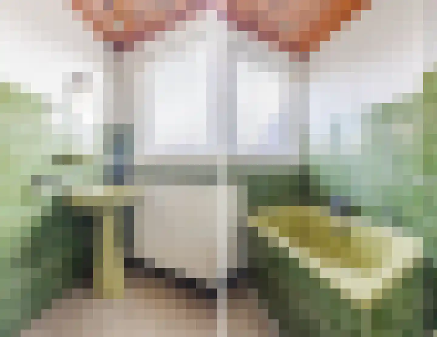 Hyacintenlaan 35 Haarlem thumbnail 39