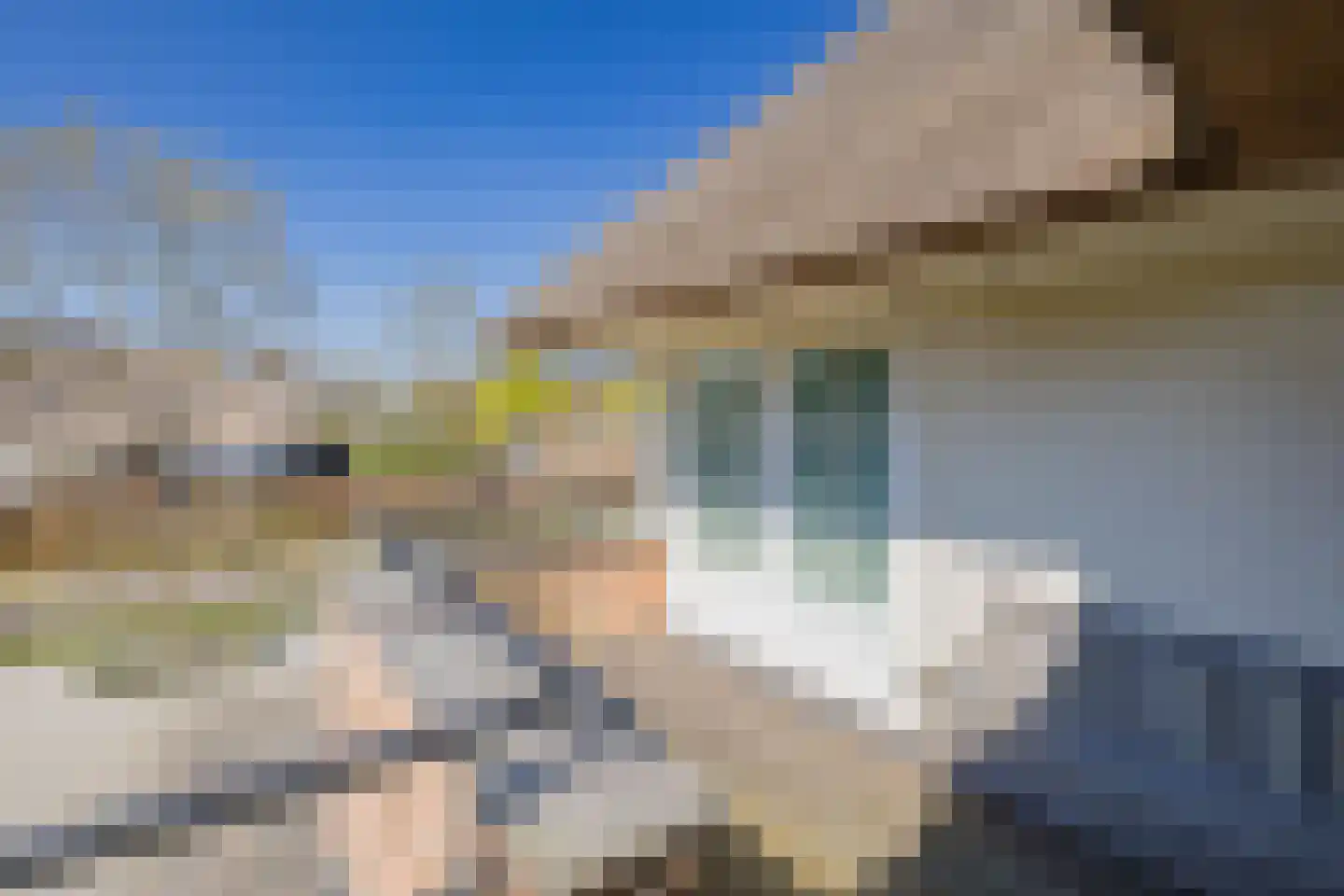 Hyacintenlaan 4 Warmond thumbnail 44