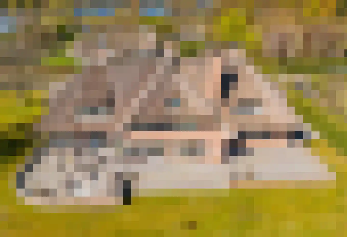 Hyacintenlaan 4 Warmond thumbnail 56