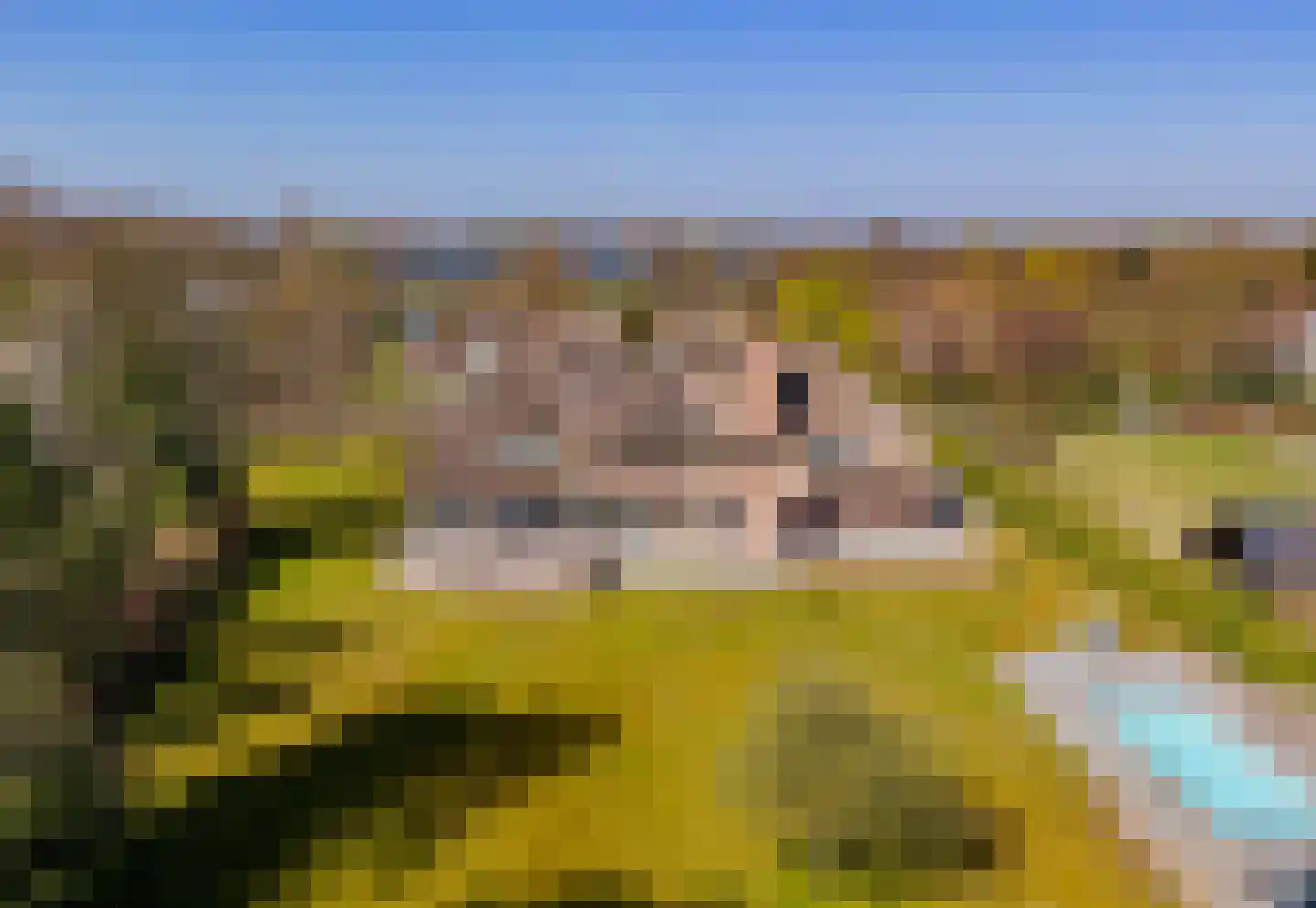 Hyacintenlaan 4 Warmond thumbnail 68