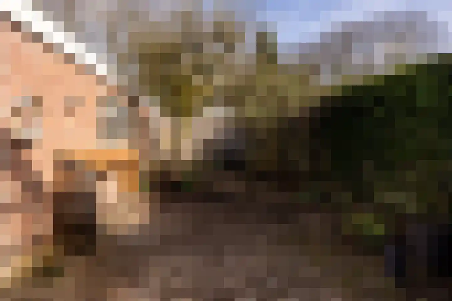 Hyacintenlaan 61 Hilversum thumbnail 26