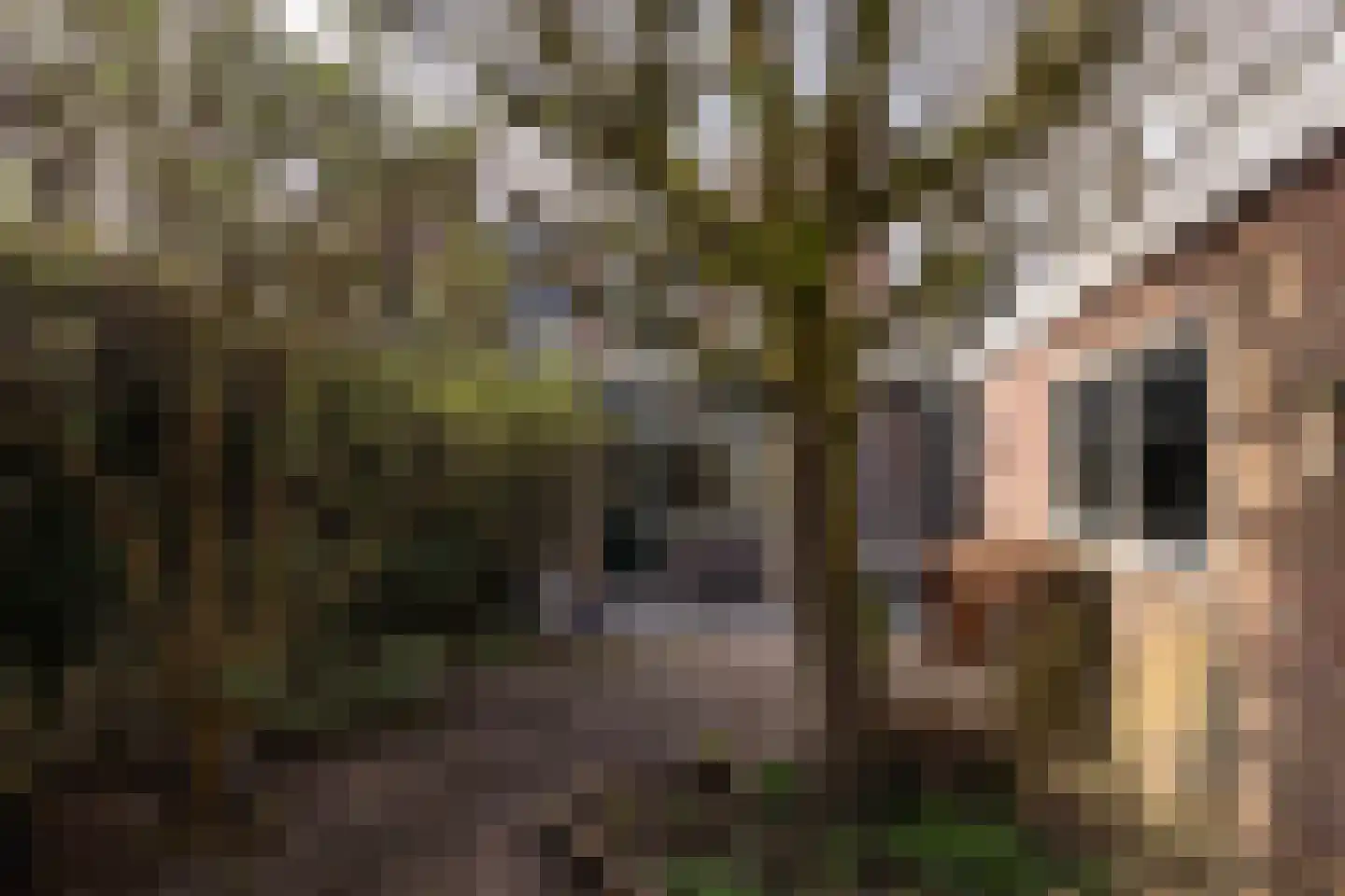 Hyacintenlaan 61 Hilversum thumbnail 27