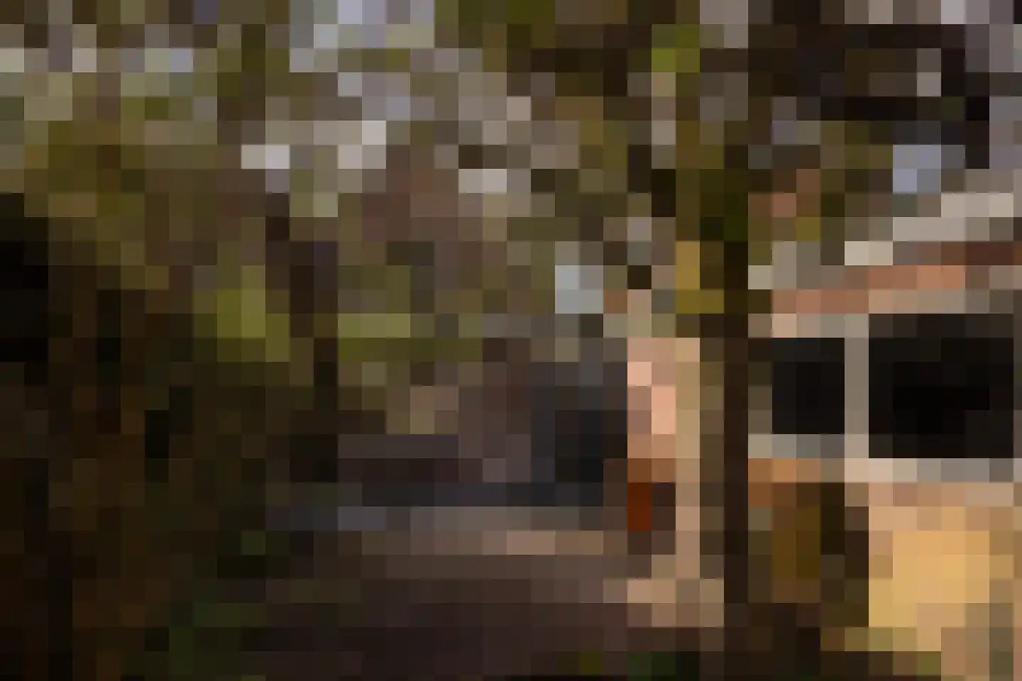 Hyacintenlaan 61 Hilversum thumbnail 28