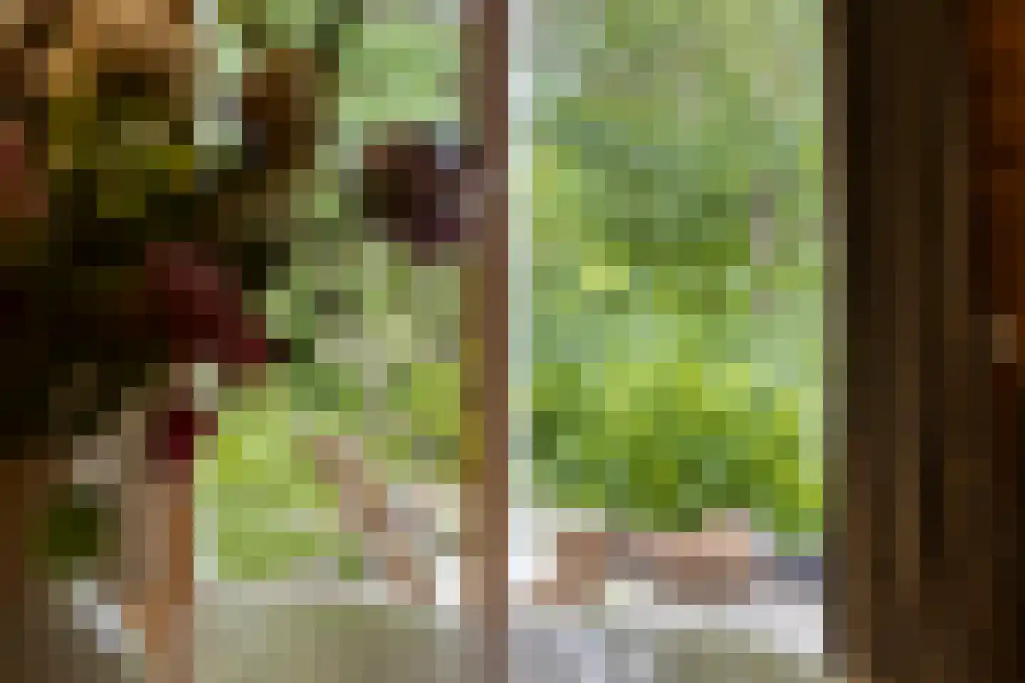 Hyacintenlaan 9 Warmond thumbnail 11