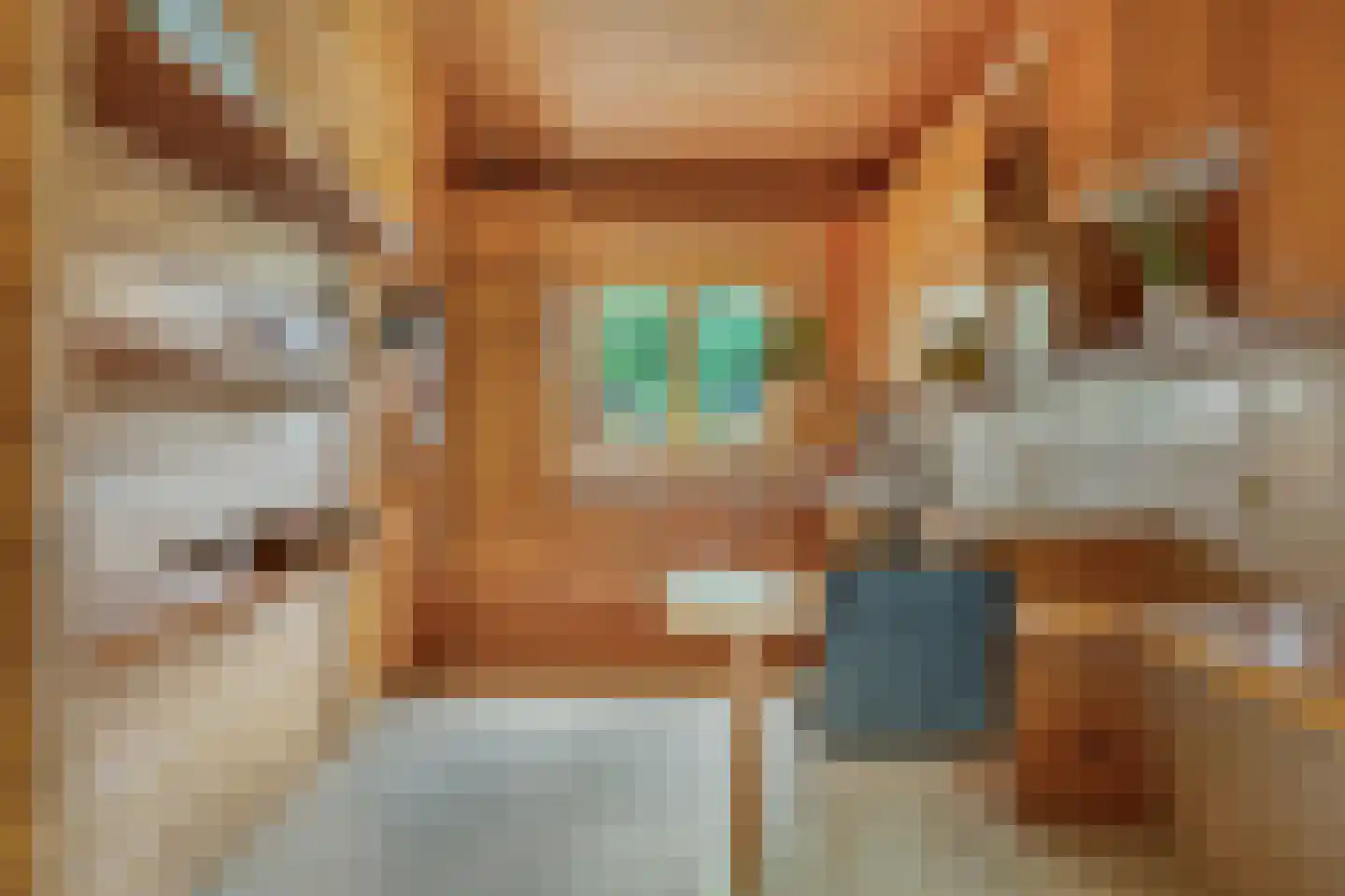Hyacintenlaan 9 Warmond thumbnail 14