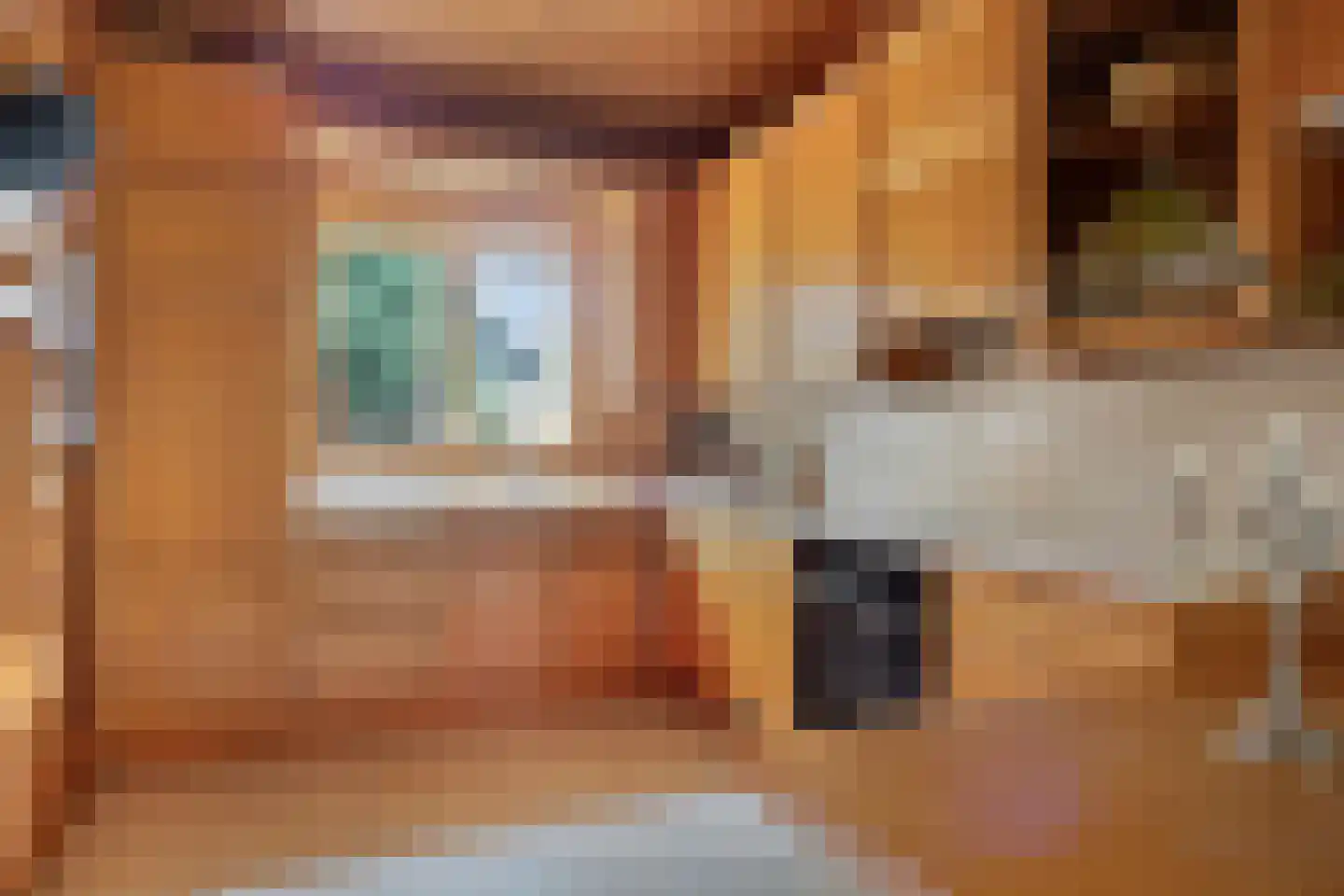 Hyacintenlaan 9 Warmond thumbnail 15