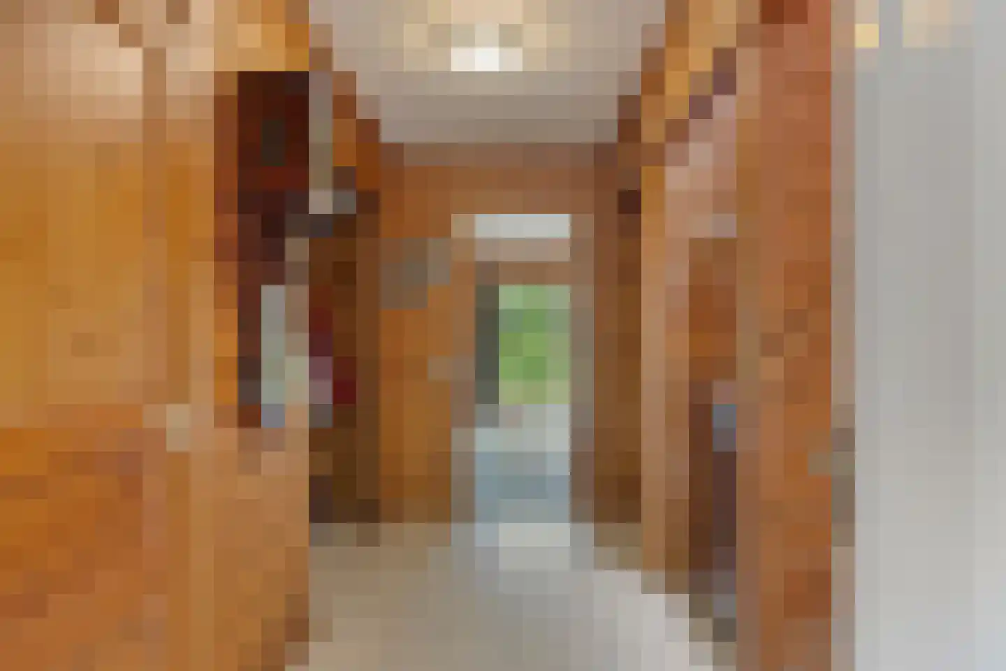 Hyacintenlaan 9 Warmond thumbnail 17