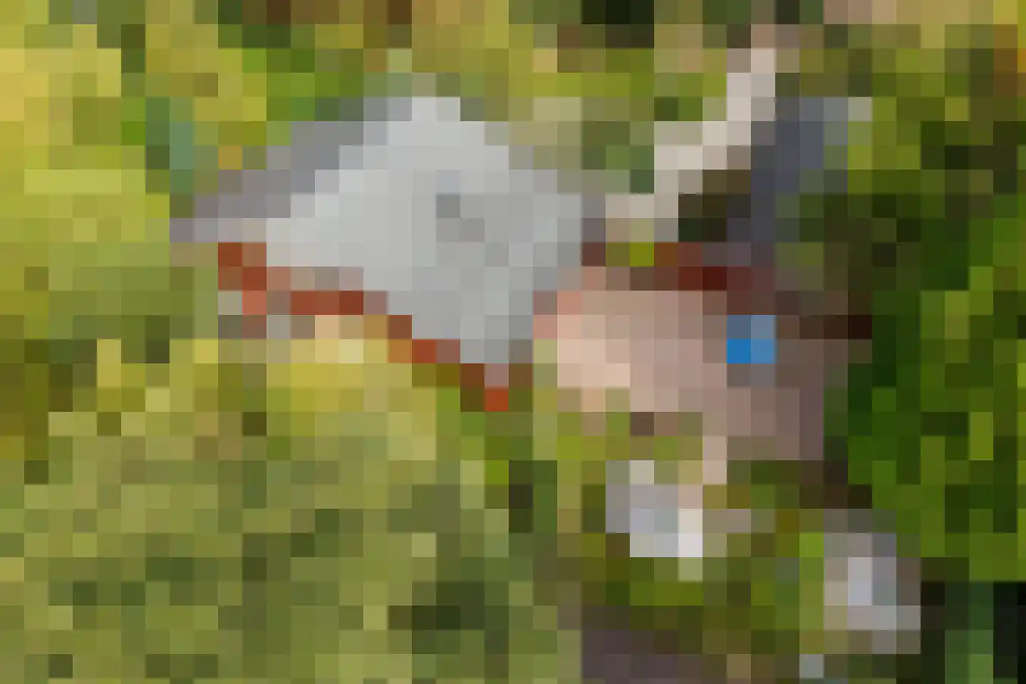 Hyacintenlaan 9 Warmond thumbnail 23