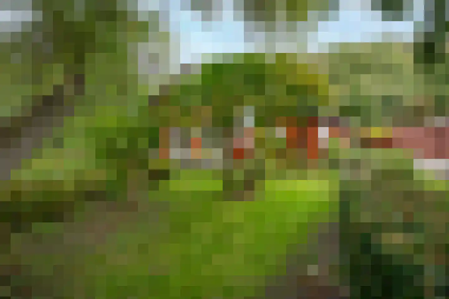 Hyacintenlaan 9 Warmond thumbnail 25